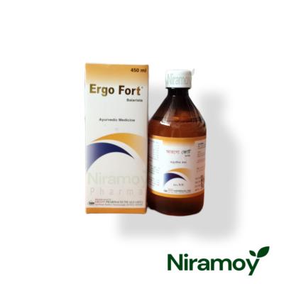 Ergo Fort