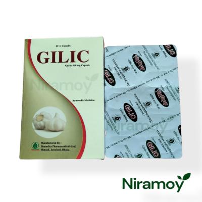 GILIC